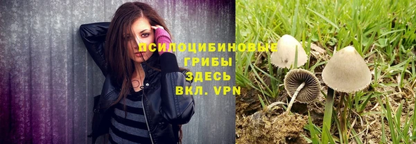 apvp Снежинск