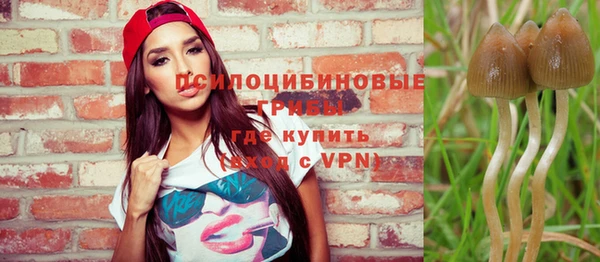 apvp Снежинск